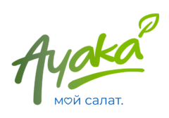 ИП ООО AYAKA